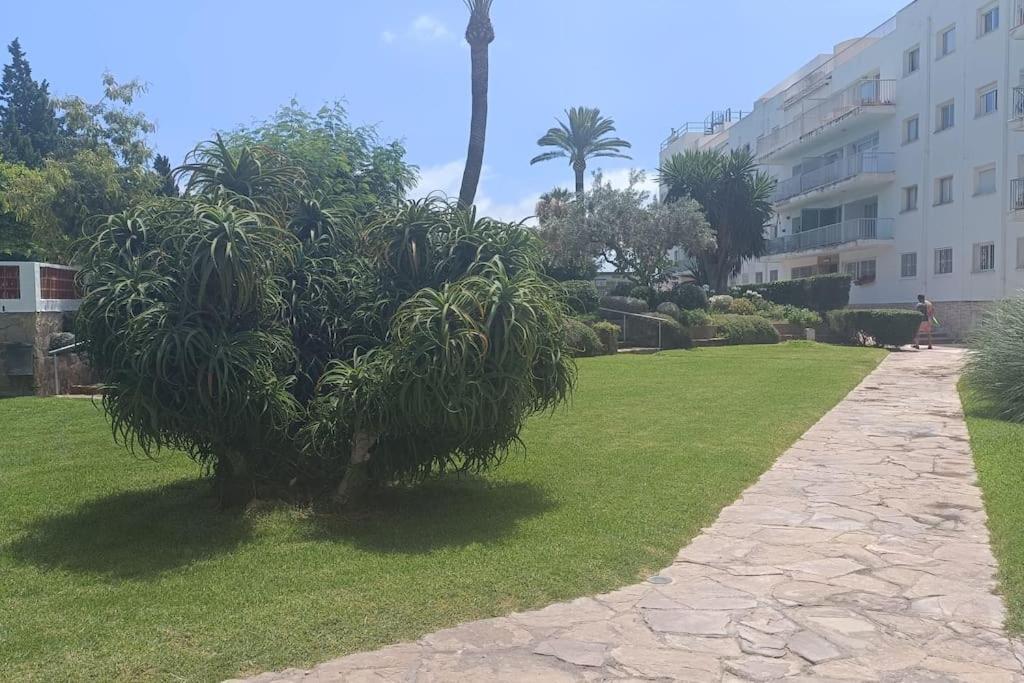 Appartement 1ª Linea De Playa Alicante
